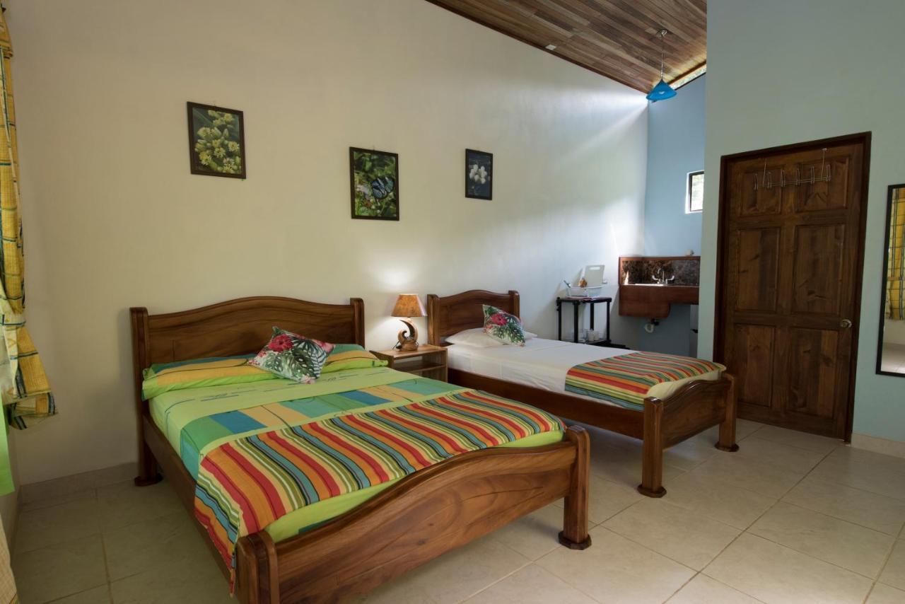 Hotel Sunshine Caribe Puerto Viejo de Talamanca Exteriér fotografie