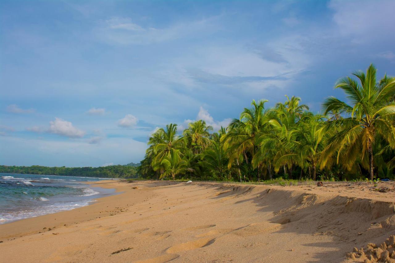 Hotel Sunshine Caribe Puerto Viejo de Talamanca Exteriér fotografie