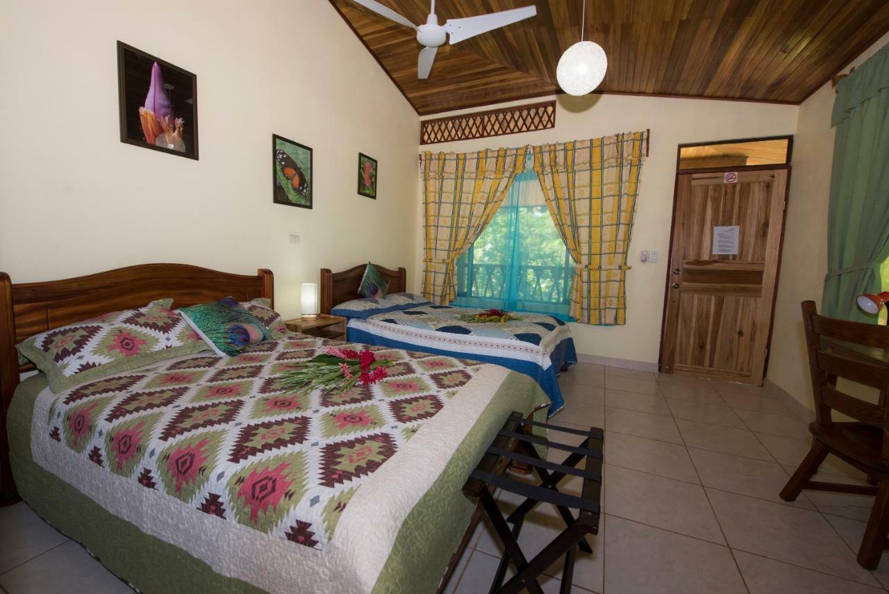 Hotel Sunshine Caribe Puerto Viejo de Talamanca Exteriér fotografie