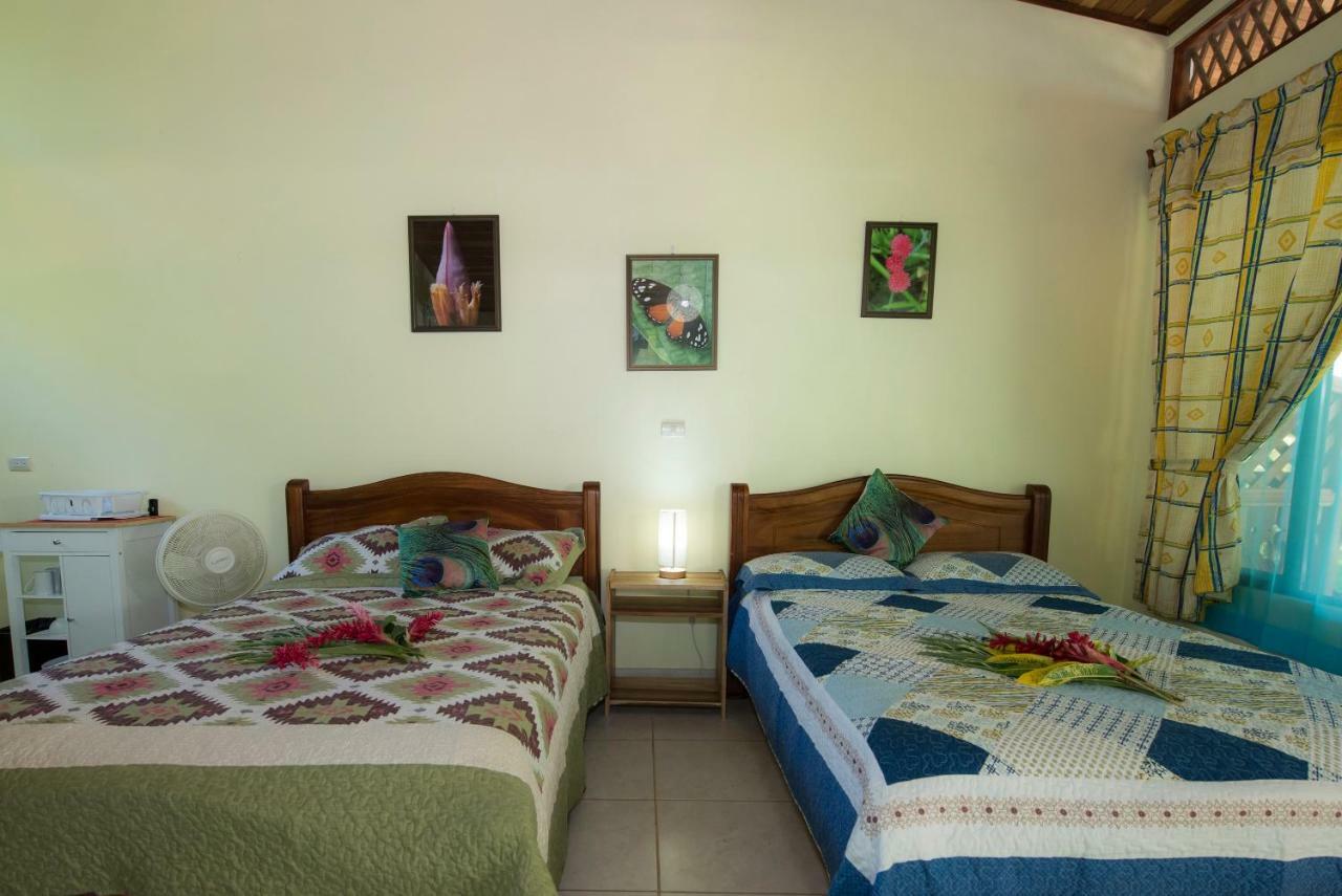 Hotel Sunshine Caribe Puerto Viejo de Talamanca Exteriér fotografie