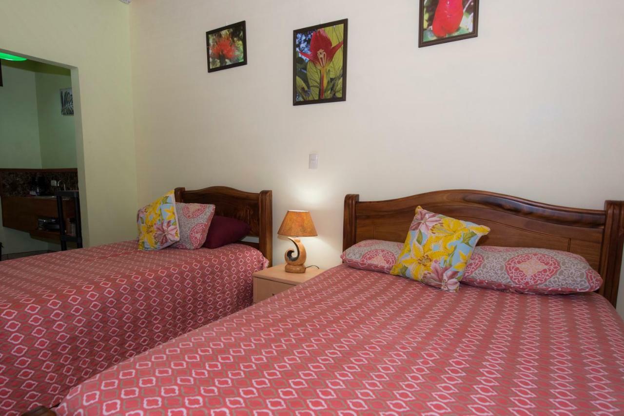 Hotel Sunshine Caribe Puerto Viejo de Talamanca Exteriér fotografie