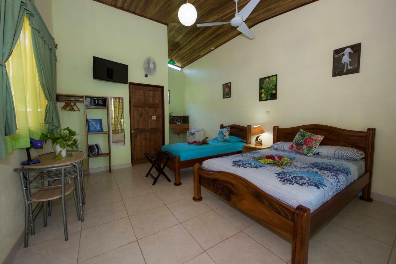 Hotel Sunshine Caribe Puerto Viejo de Talamanca Exteriér fotografie