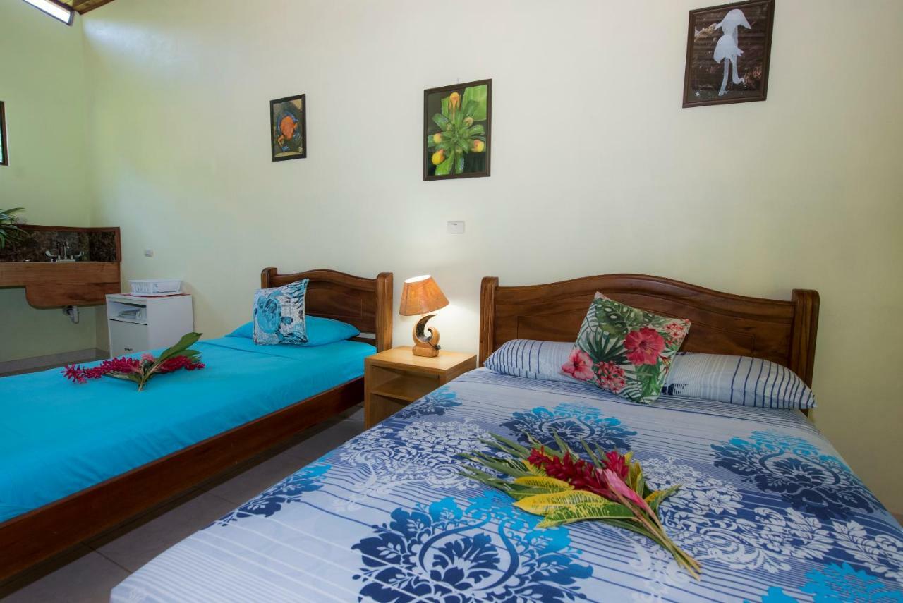 Hotel Sunshine Caribe Puerto Viejo de Talamanca Exteriér fotografie